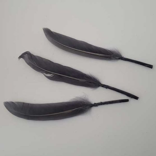 3 Plumes 15 cm N&deg;01 Gris
