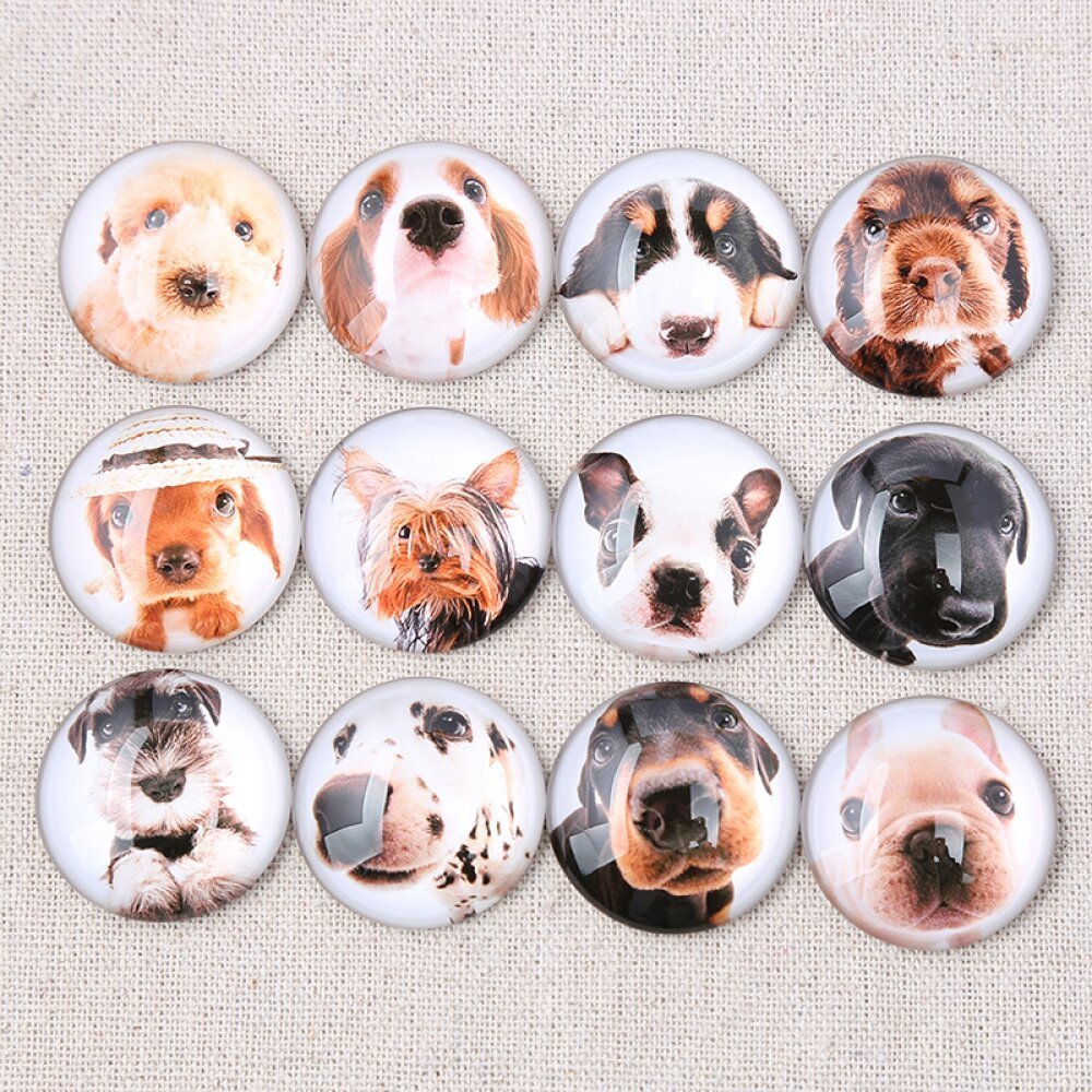 Lot 24 runde Glas-Cabochons 25mm Hund Mixed Glass Cabochon 