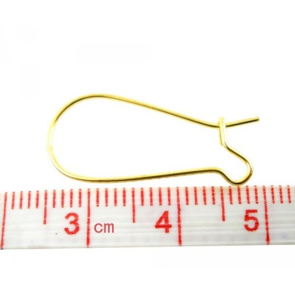 Halter Ohrring Dormeuse 24mm N&deg;04 x 1 Paar