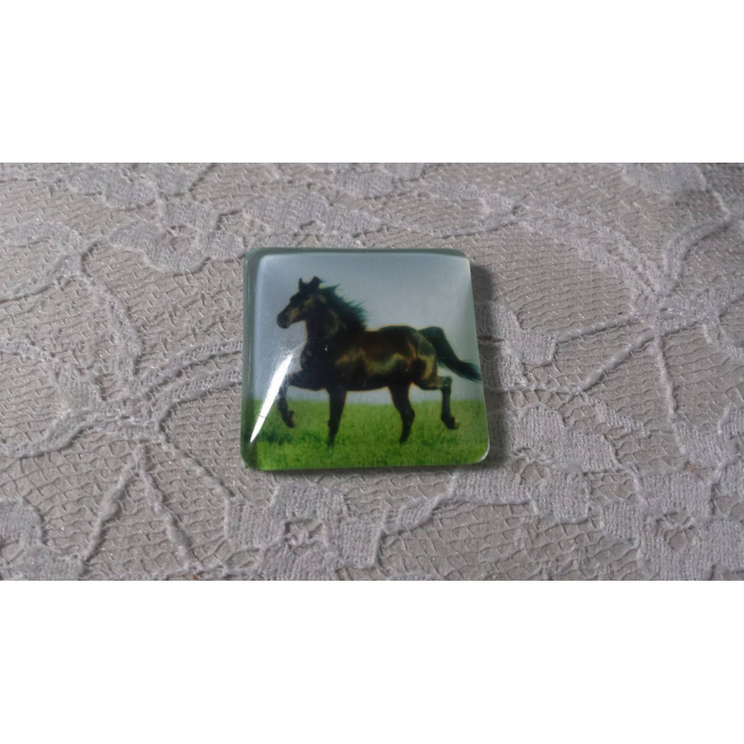 quadratischer Glas-Cabochon 30mm 018 