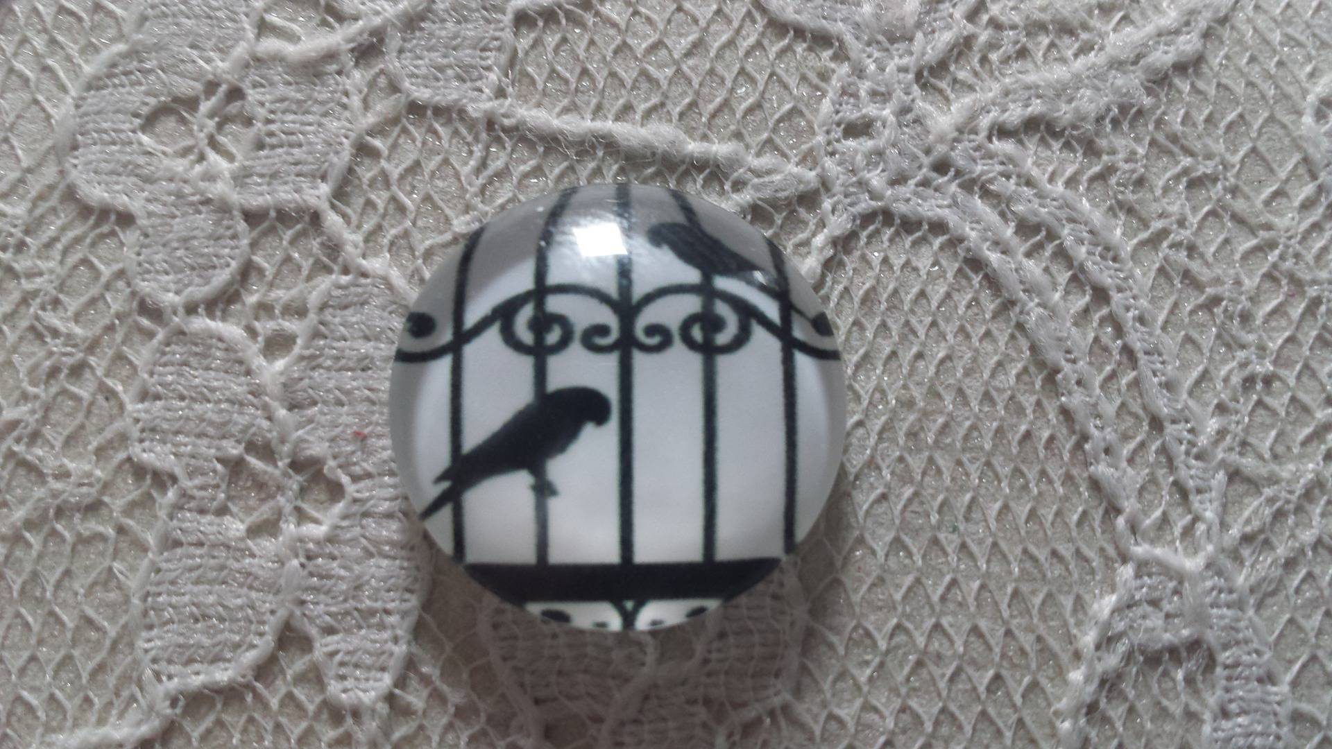 runder Glas-Cabochon 10mm Vögel 008 