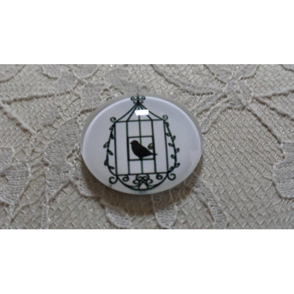 runder Glas-Cabochon 25mm V&ouml;gel 023 