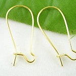 Halter Ohrring Schläfer 24mm Nr. 04 x 10 Paar