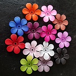 15 Blumen Margerite sortiert