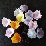 15 Blumen Nr. 01 sortiert