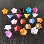 20 Blumen Vergissmeinnicht sortiert