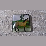 quadratischer Glas-Cabochon 30mm 007 