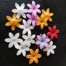 15 Lilienblüten sortiert