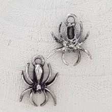 Spinne Nr. 01 Silber Charm