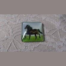 quadratischer Glas-Cabochon 30mm 018 