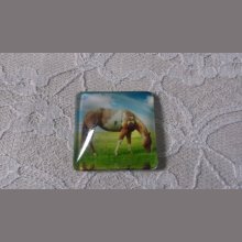 quadratischer Glas-Cabochon 30mm 001 