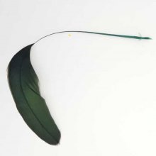 Plume 16 cm N°03 Vert