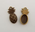 Ananas Charm Nr. 02