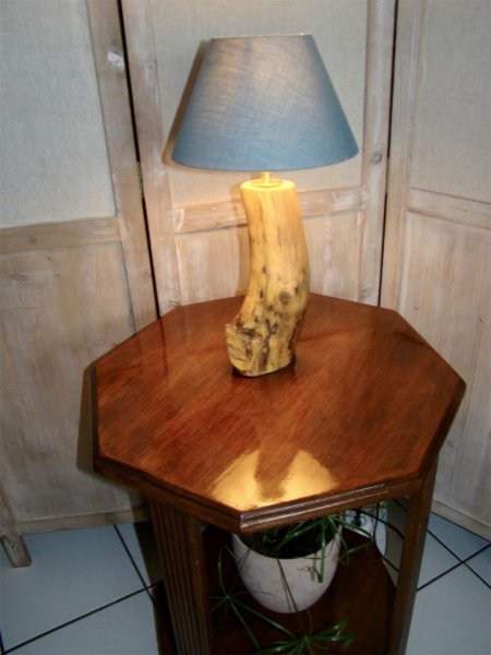 Lampe Wald, die Natur und ihre Wunder 