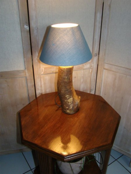 Lampe Wald, die Natur und ihre Wunder 