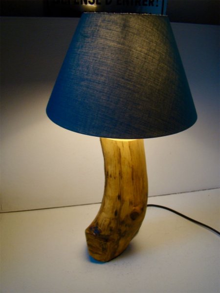 Lampe Wald, die Natur und ihre Wunder 