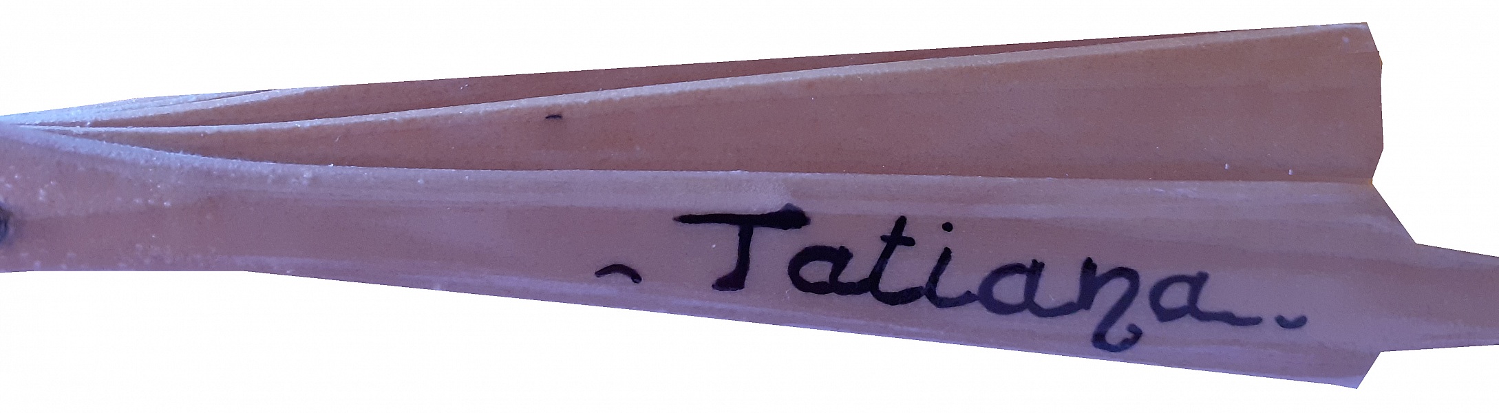 Mein erster handgezeichneter und handbemalter Baumwollf&auml;cher "Cocci mini".