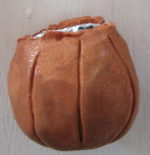 kürbis aus Fimo-Paste