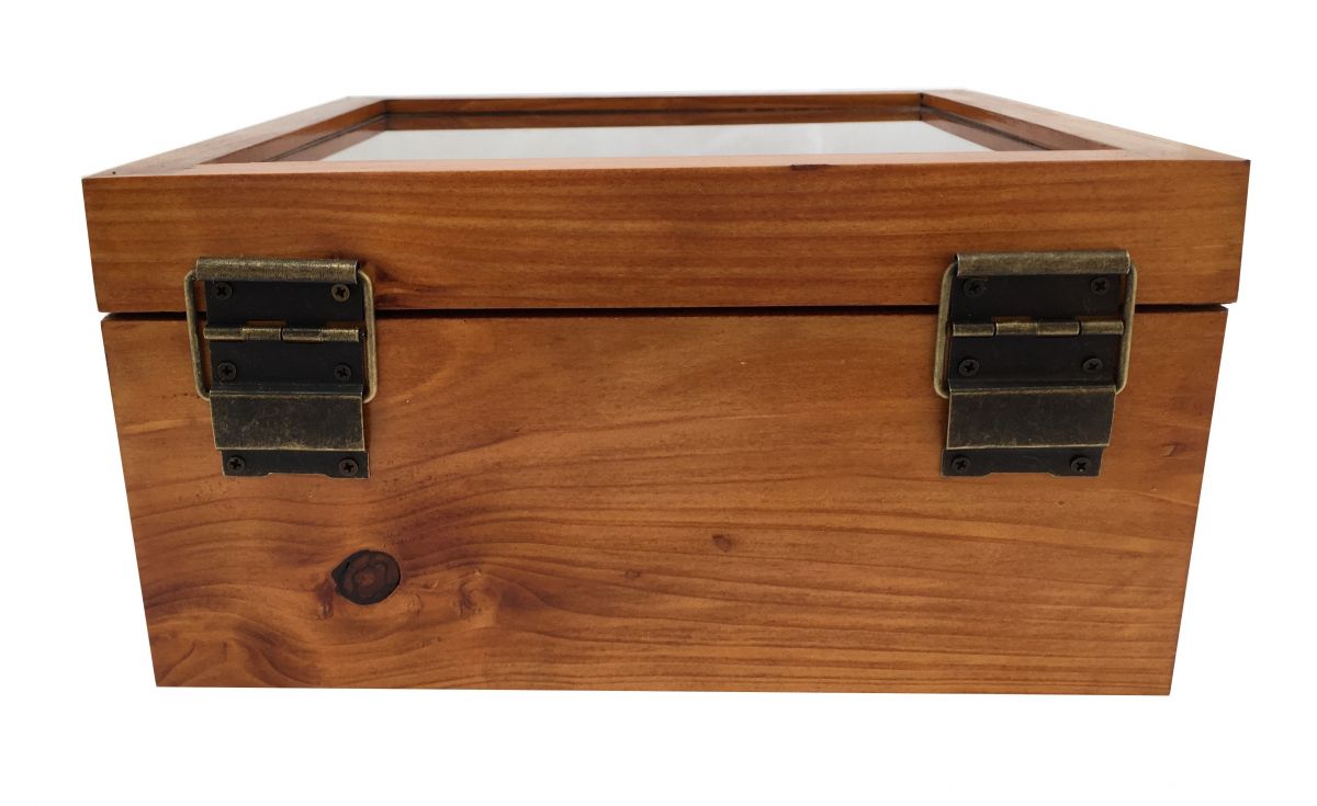 Geneigte Holzkiste mit Glasdeckel. Modell: Meeresanker.