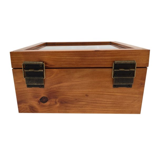 Geneigte Holzkiste mit Glasdeckel. Modell: Meeresanker.