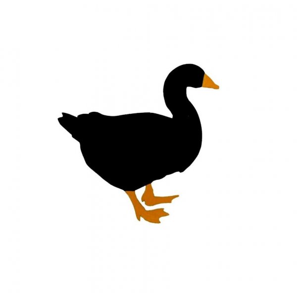 Wand- oder T&uuml;rschild aus Holz Modell: Gans 27x28 cm