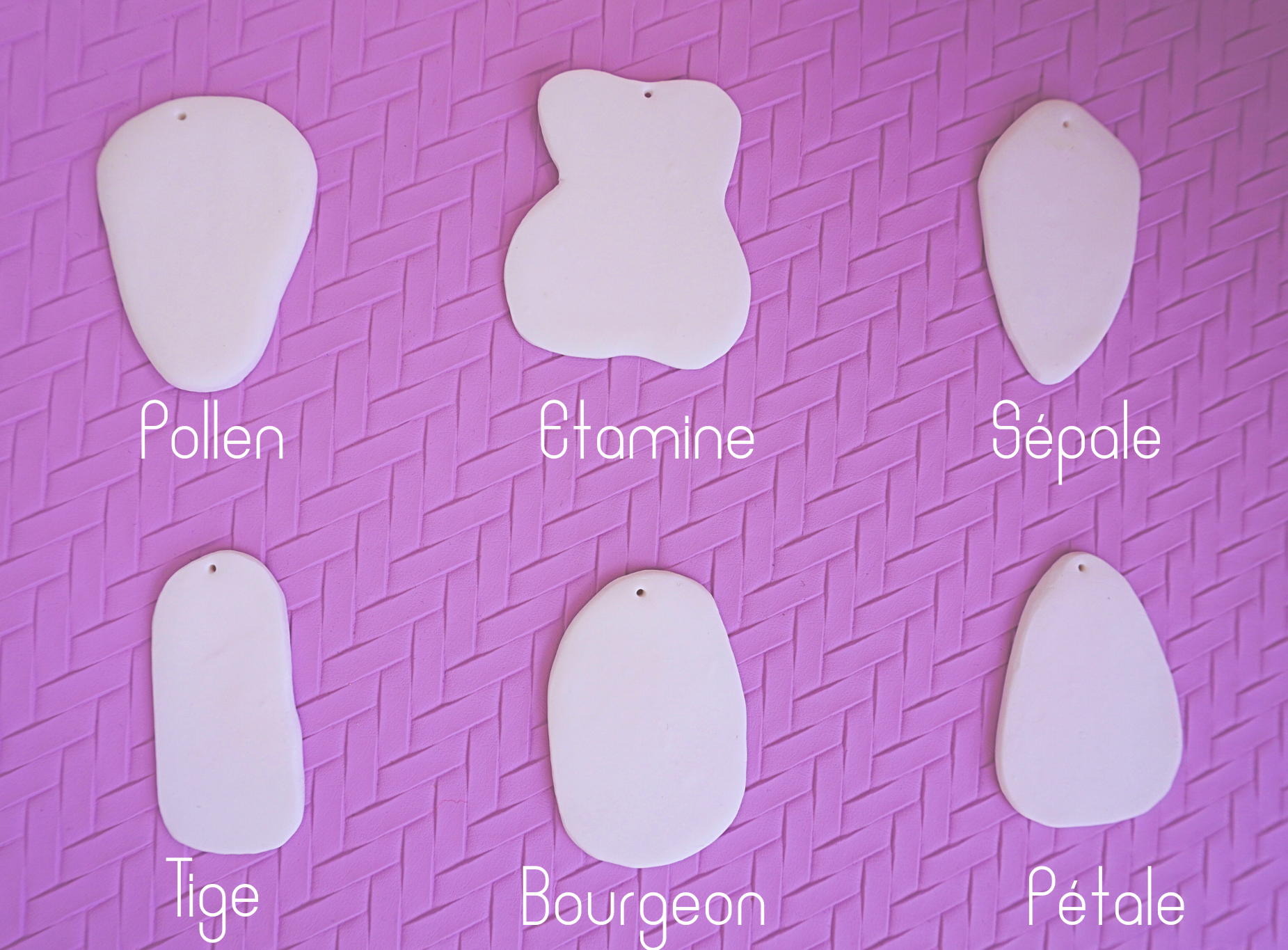 Boucles d'oreilles en argile polym&egrave;re S&eacute;pale